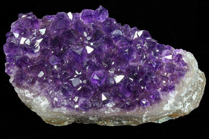 Dark Purple Amethyst Cluster - Top Quality Color #76858